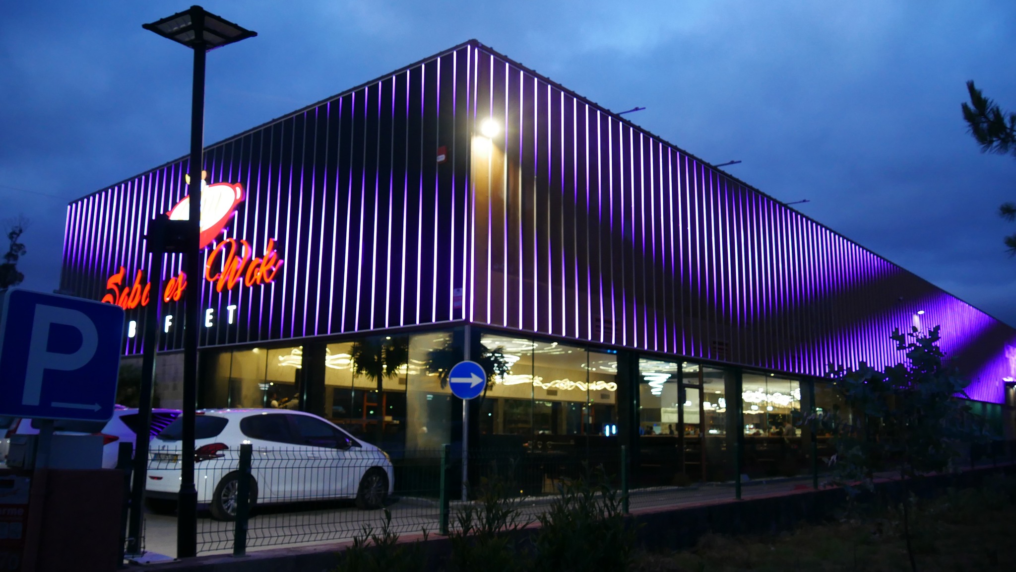Sabores Wok